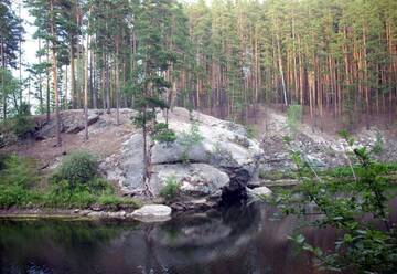 Фото номера Стандартный номер Гостиница Pansionat Karagayskiy Bor г. Карагайский 37